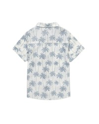 Chemise hawaïenne