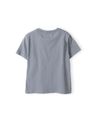 Gray t-Shirt