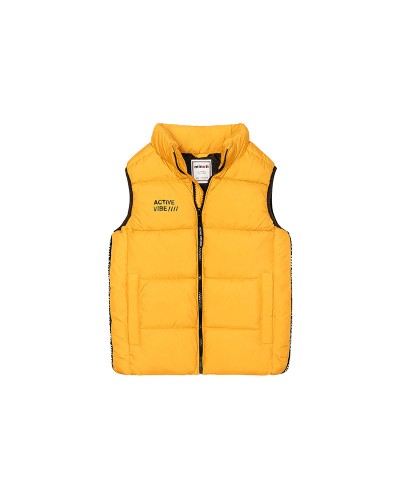 Gilet jaune