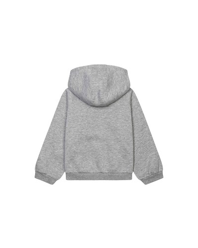 Sweat à capuche gris