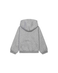 Sweat à capuche gris