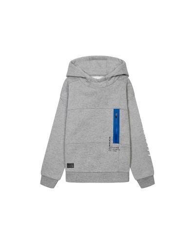 Sweat à capuche gris