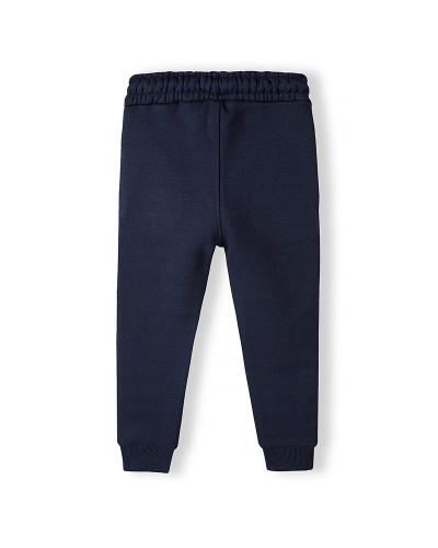 Navy jogger pants