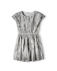 Silver pleated dress