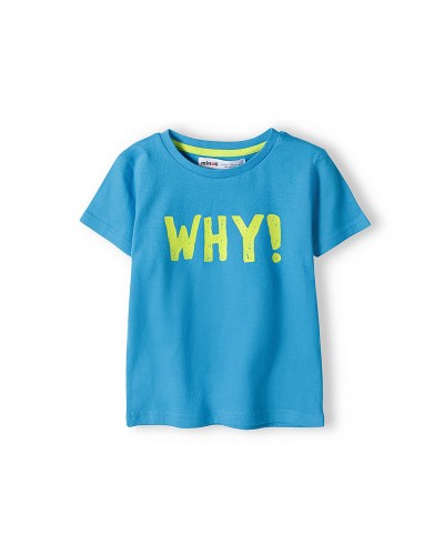 Blue t-shirt
 Size-12-18 months