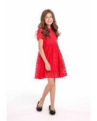 Pack of 10 red dresses