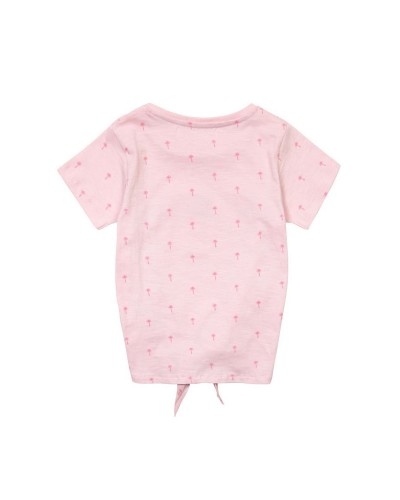 Lot de 6 t-shirts Flamingo